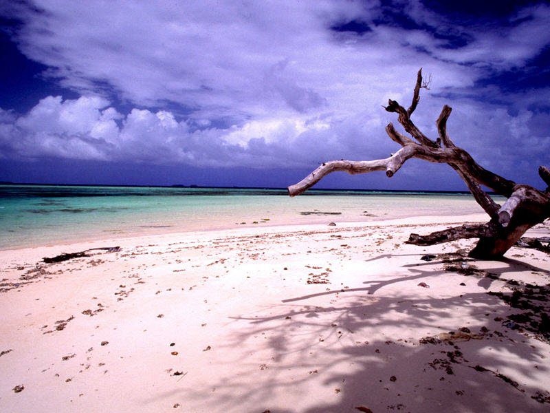 Image of the Beach scenery at Laura, Majuro, Marshall Islands. World Insurance Companies Logos