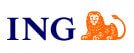 World Insurance Companies Logos - Alien Insurance in USA - The image is of the ING Insurance Company logo.
