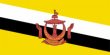 The image shows the Flag of Brunei.. Brunei Insurance - World Insurance Companies Logos