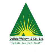 The image shows the LOGO OF DELISLE WALWYN GROUP