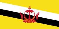 The image shows the Flag of Brunei.. Brunei Insurance - World Insurance Companies Logos