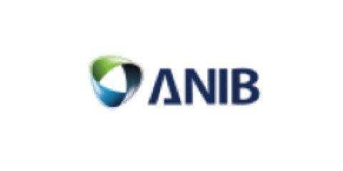 Image of the Insurance Company Logo of ANIB - World Insurance Companies Logos