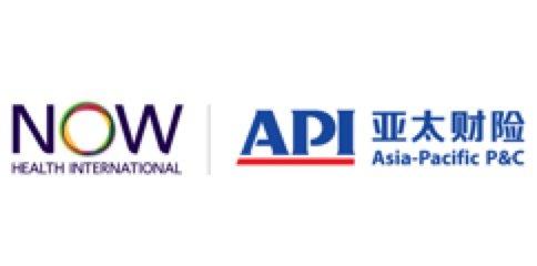 Image of the Insurance Company Logo of Now Health - API - World Insurance Companies Logos