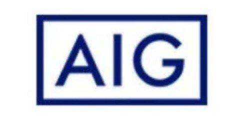 AIG logo – World Insurance Companies Logos.