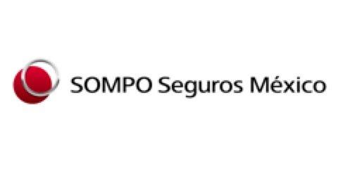 Image of the Logo of SOMPO Seguros México - World Insurance Companies Logos