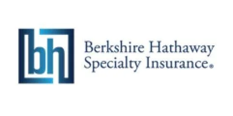 BHSI logo