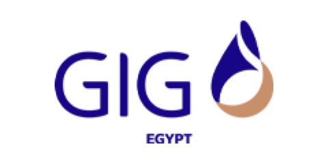 GIG logo