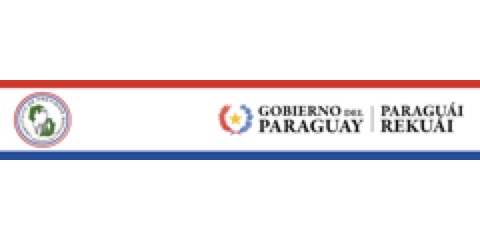 IPS (Instituto de Previsión Social) logo